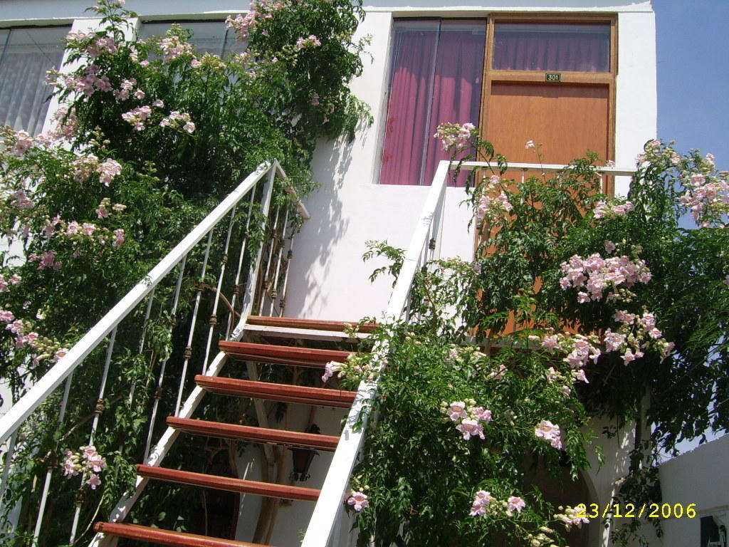 Hostal Camiluz Nazca Bagian luar foto