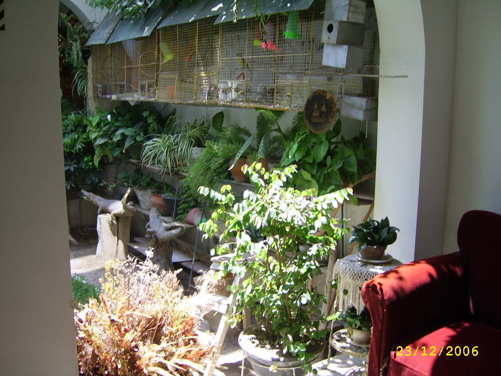 Hostal Camiluz Nazca Bagian luar foto