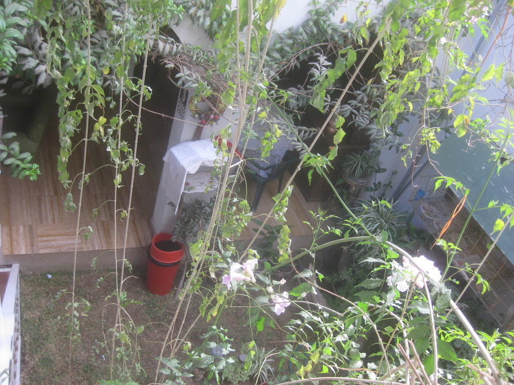 Hostal Camiluz Nazca Bagian luar foto