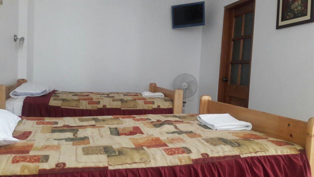 Hostal Camiluz Nazca Bagian luar foto
